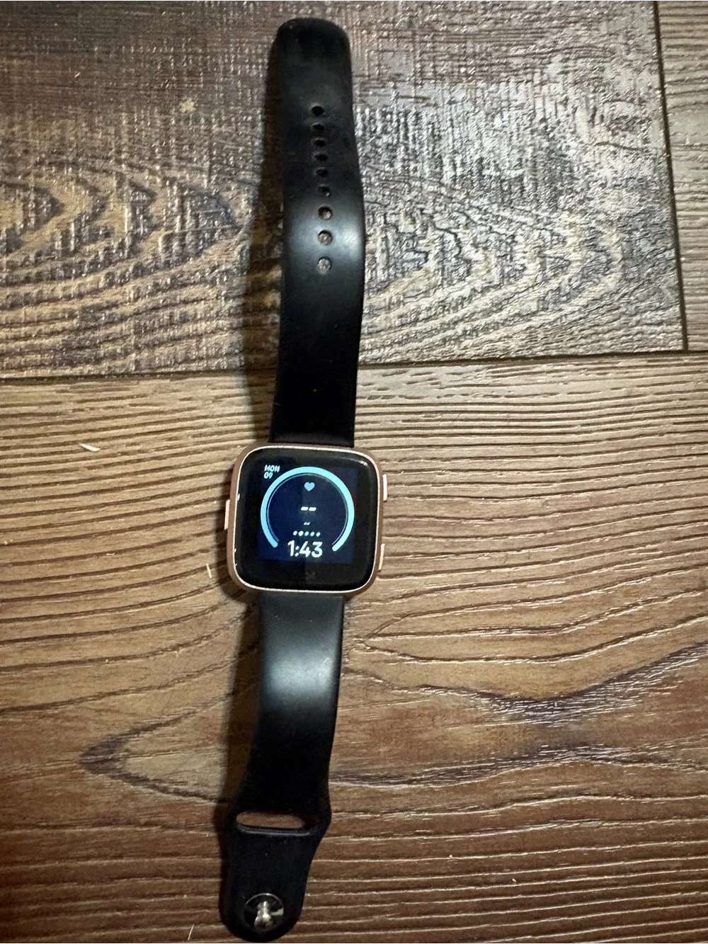 Fitbit Versa FB505 Smartwatch 1st Gen Fitness Tracker Heart Rate w/charger